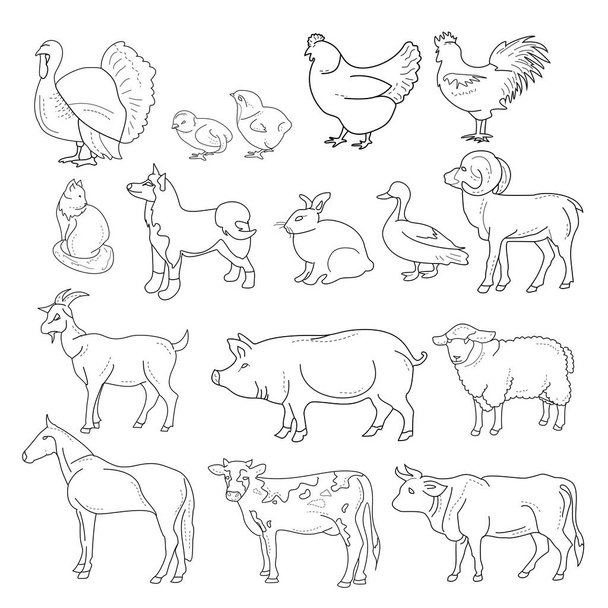 Çiftlik hayvanları anahat rakamlar vektör Illustration. Çizgi stili beyaz arka plan üzerinde hayvanlarda. - Vektör, Görsel