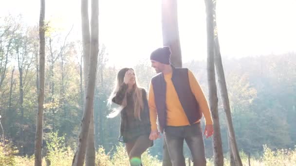 Dvojice drží za ruce a procházky v lese - Záběry, video