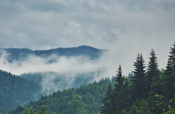 Nubes de lluvia en la cima de la montaña. paisaje natural
. - Foto, imagen