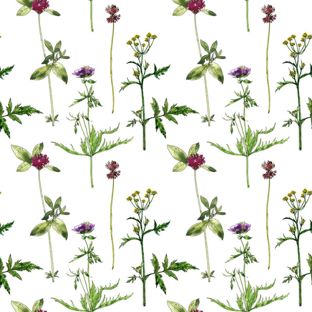 seamless pattern with watercolor drawing flowers and plants - Φωτογραφία, εικόνα