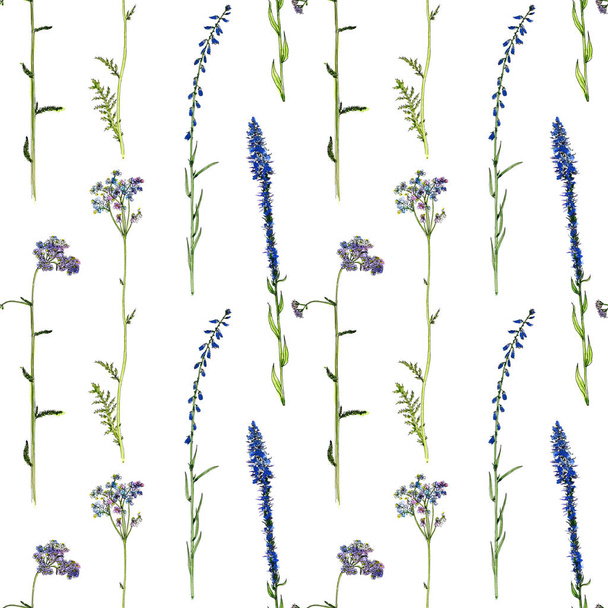 seamless pattern with watercolor drawing flowers and plants - Foto, immagini