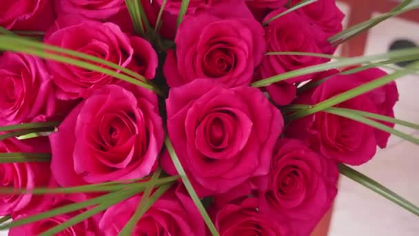 Gyönyörű virágok piros rózsa. Csokor virágot közelről - Felvétel, videó