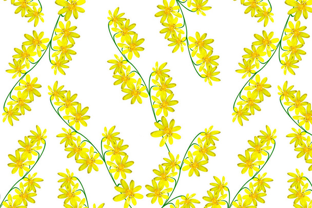 Fleur lumineuse colorée buttercup
  - Photo, image