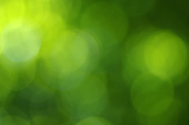 zielony bokeh  - Zdjęcie, obraz