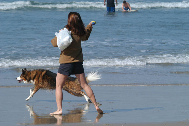 Kutya strand - Fotó, kép