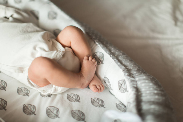 baby legs, small legs of a newborn baby - Fotografie, Obrázek