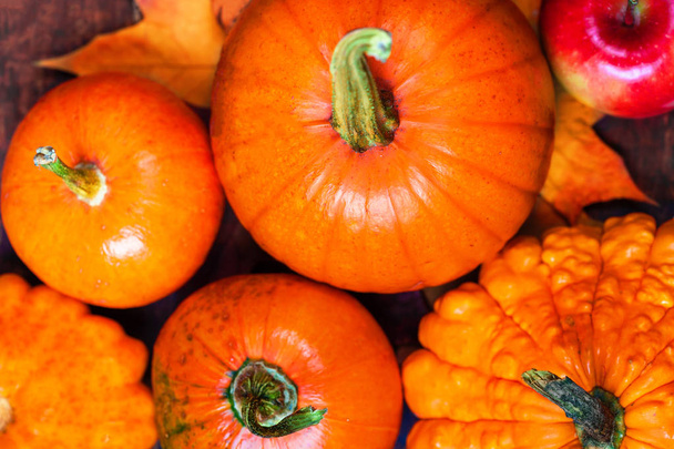 Close view of orange pumpkins, apples and fallen leaves - Фото, изображение