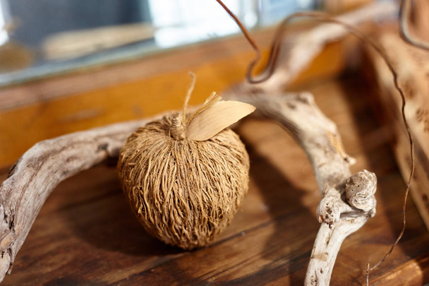 Decorative wooden apple and snag. Decorative materials. - Photo, Image
