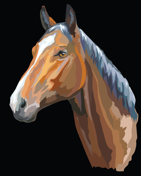 farbiges Pferd Portrait-1 - Vektor, Bild