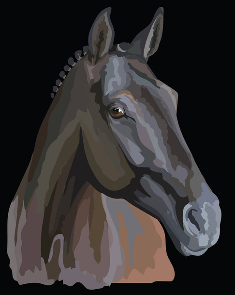 Colored Horse portrait-7 - Vector, Image
