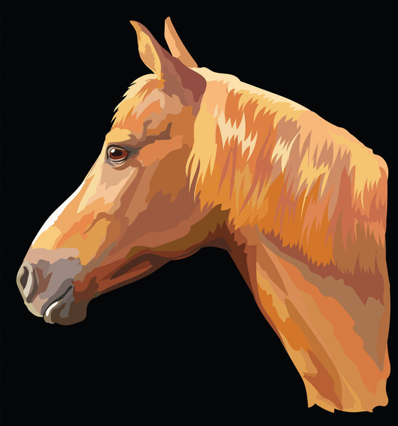 farbiges Pferd Portrait-9 - Vektor, Bild
