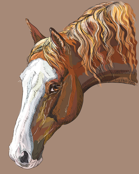 Ζωηρόχρωμο άλογο πορτρέτο-4 - Διάνυσμα, εικόνα