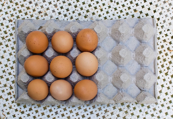 Tuoreet ruskeat munat pahvikotelossa
 - Valokuva, kuva