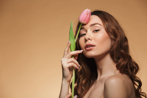 Gentle beautiful young woman holding one tulip flower. - Fotografie, Obrázek