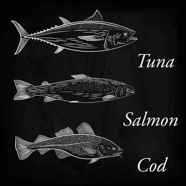 Conjunto de tres peces marinos pintados. Atún, salmón y bacalao. Boceto y dibujo a mano
 - Vector, Imagen