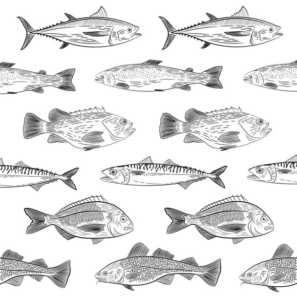 Un conjunto de peces marinos populares nadando en una dirección diferente. Atún, bacalao, dorado, salmón, lubina, caballa. Bosquejo, ilustración vectorial
 - Vector, imagen