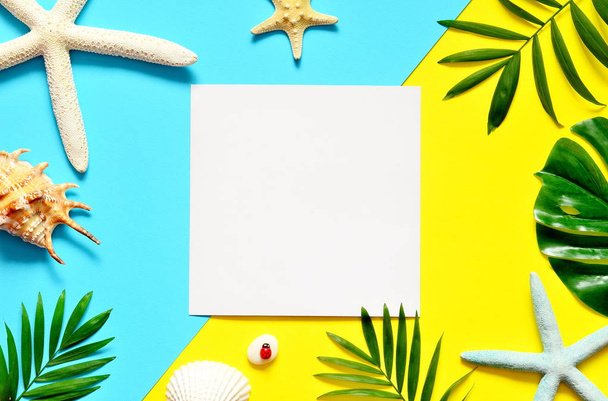 Тропічний фону. Palm гілки дерев з морськими зірками і seashell на жовтому та блакитному фоні. Пам'ятки. Копія простір. - Фото, зображення