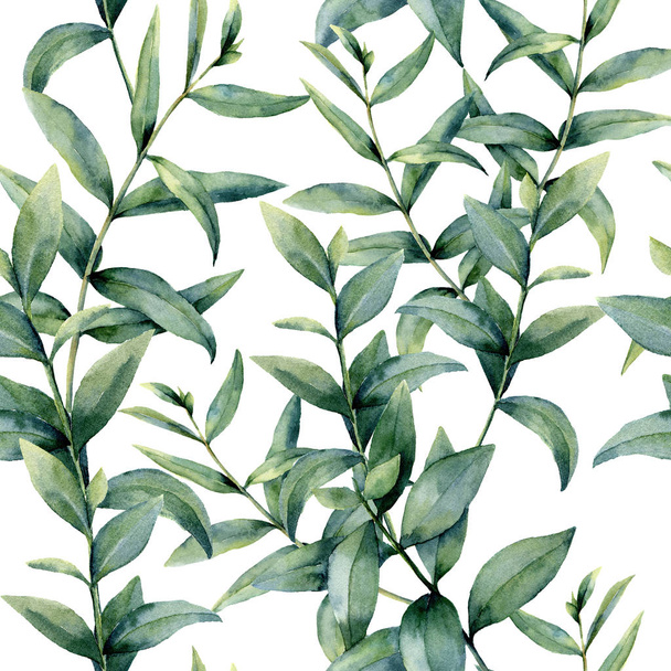 Akvarell reális eukaliptusz minta. Kézzel festett, virág zökkenőmentes dísz elszigetelt fehér background. Természet botanikai illusztráció vagy nyomtatása. - Fotó, kép