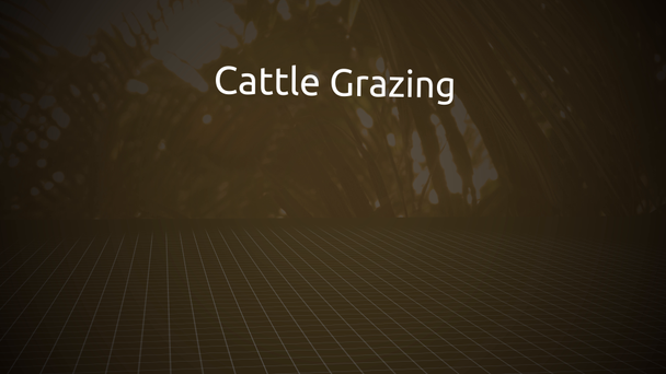 Amenazas para el bosque lluvioso Motion Graphics Series - Cattle Grazing
 - Metraje, vídeo