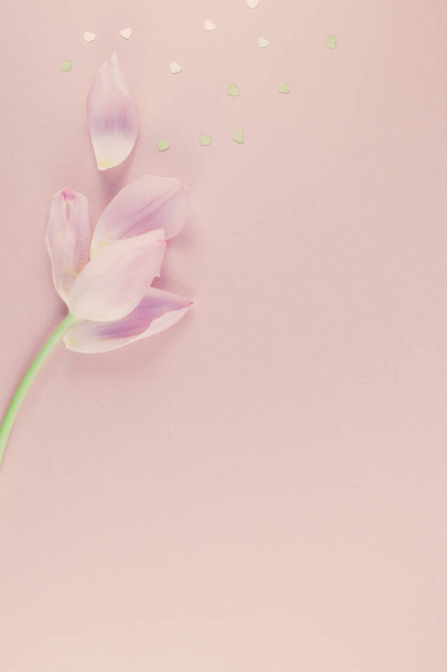 Tulipán rosa con corazón dorado espolvorea Puesta plana
 - Foto, Imagen