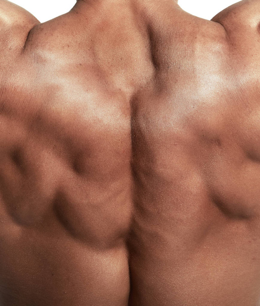 Muscular torso of bodybuilder - Photo, Image