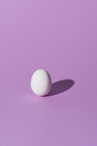 one chicken egg on purple surface - Foto, afbeelding