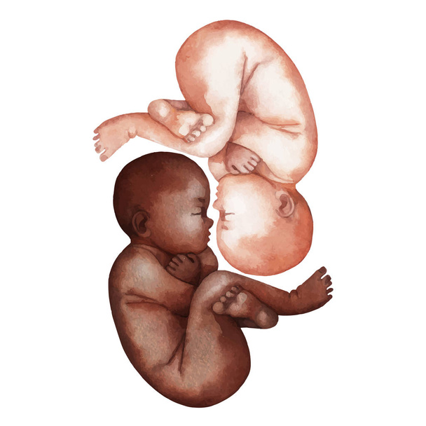 水彩のアフリカ系アメリカ人と白人の赤ちゃん - ベクター画像