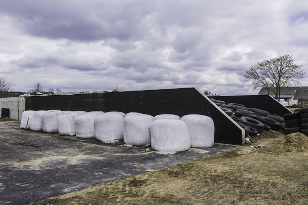Круглые тюки сена и силоса, завернутые в белую мембрану. Пища для коров зимой хранится возле шахты. Молочная ферма на Подляшье, Польша
. - Фото, изображение