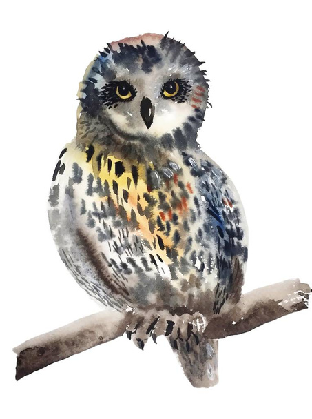 fluffy colorful owl sitting face to us with yellow eyes, watercolor painting - Photo, Image