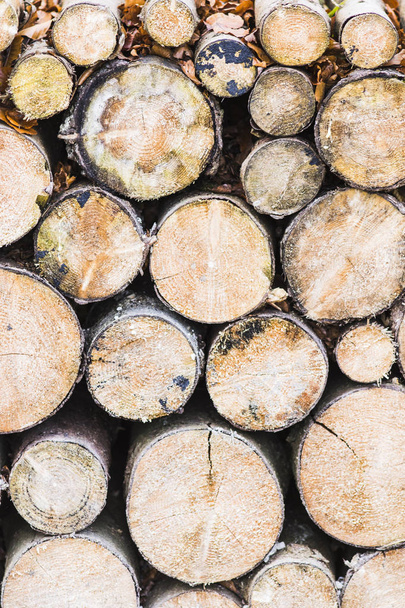 bûches de bois soigneusement empilées comme fond et texture naturelle
 - Photo, image
