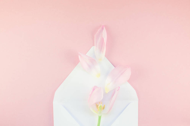 rosa Tulpe mit Blütenblättern in geöffnetem Papierumschlag - Foto, Bild