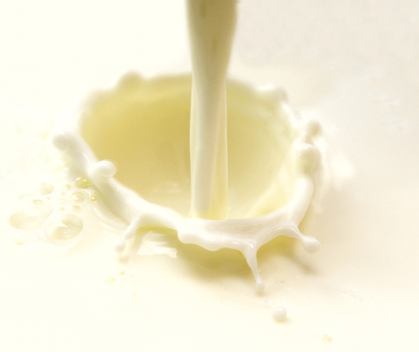молоко
 - Фото, зображення