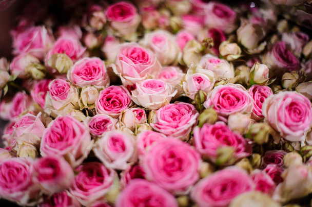 Top view of bouquet of flowers consisting of pink and white roses - Photo, Image