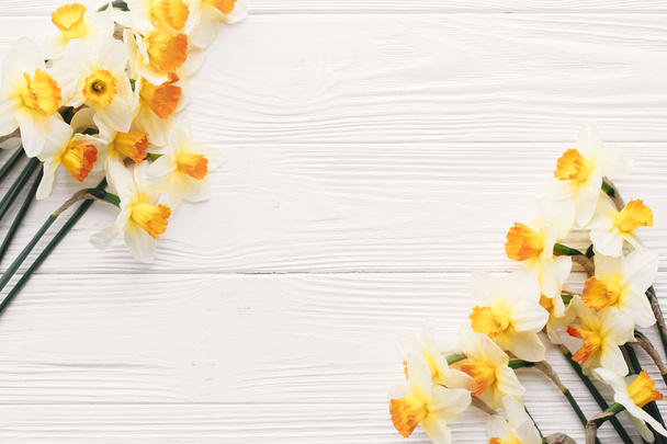 krásné čerstvé narcisy na bílém pozadí dřevěný pohled shora. Ahoj jaro obraz s zářivě žluté květy hranice na rustikální dřevo s prostorem pro text, ploché rozložení. Květinová přání - Fotografie, Obrázek