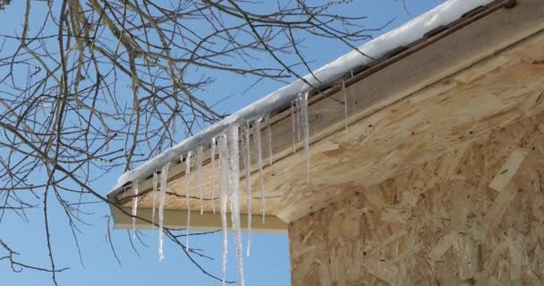 large icicles on the roof close-up - Video, Çekim
