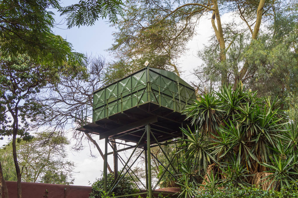 Один резервуар с зеленой водой на сваях в саванне Амбоса
 - Фото, изображение