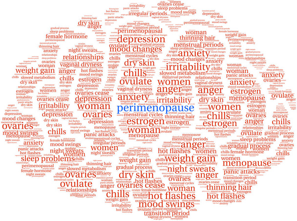 Perimenopause Wortwolke - Vektor, Bild