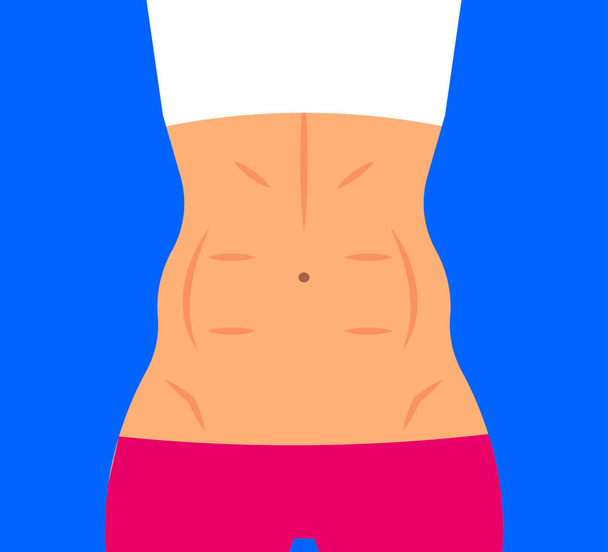 Athletic female torso - Vector, Image