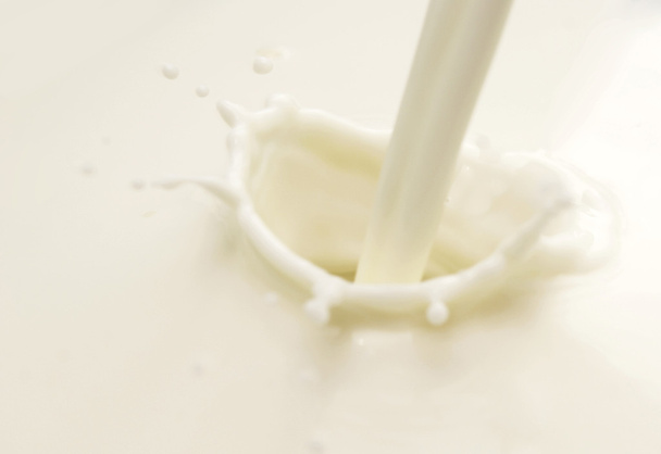 молоко
 - Фото, зображення