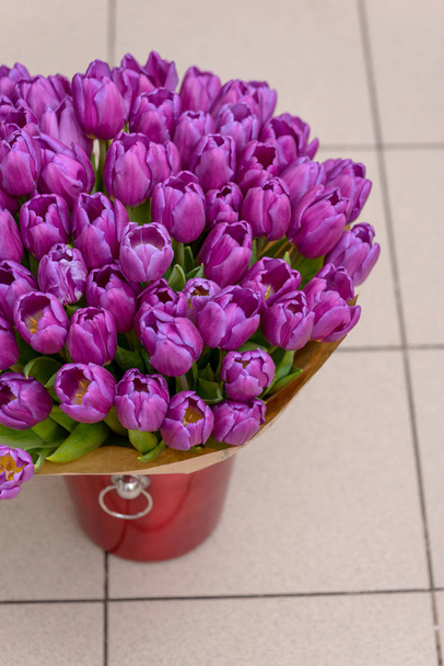 tulipas roxas em balde para flores
 - Foto, Imagem