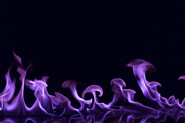 Llama púrpura aislada
 - Foto, Imagen