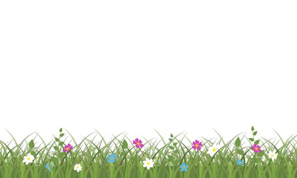 Grass and flowers - Вектор, зображення