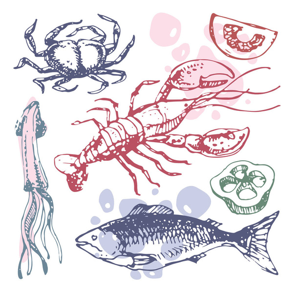 Hand drawn doodle sea food set - ベクター画像