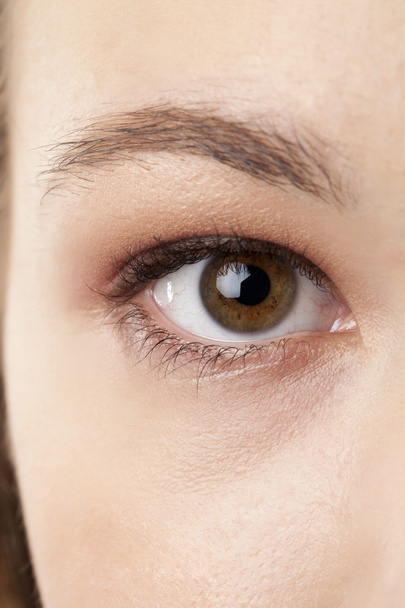 ženské oko - Fotografie, Obrázek