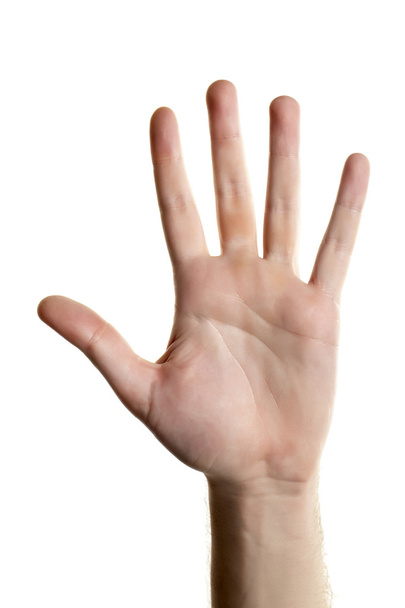 lidská ruka s otevřenou dlaní - Fotografie, Obrázek