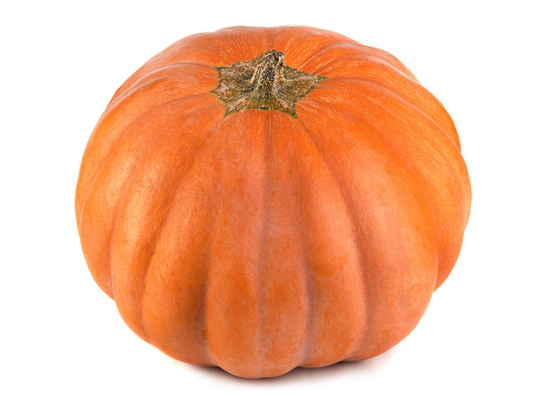 Pumpkin vegetable - Photo, Image