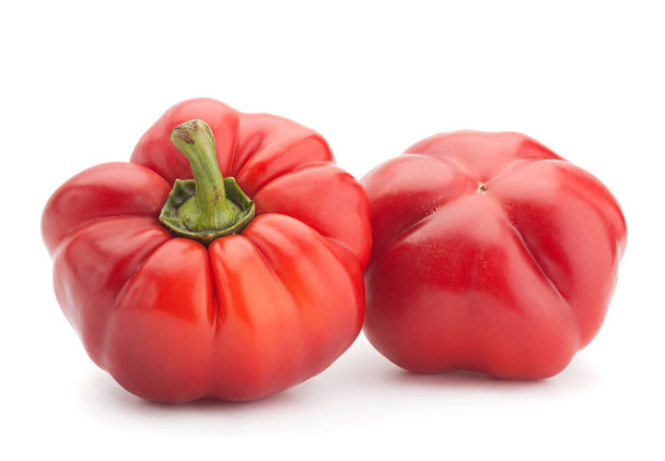 rode peper groente - Foto, afbeelding