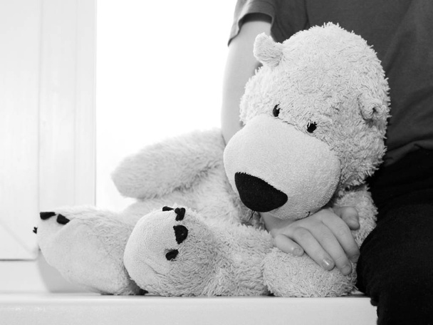 karhu surullinen lelu istuu ikkunassa
 - Valokuva, kuva