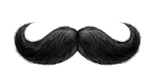 Vector realistic black mustache - Vector, imagen