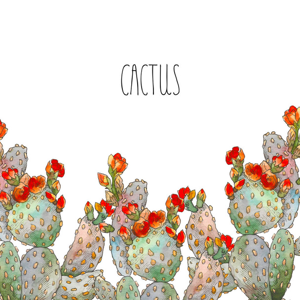 Watercolor border botanical illustration cactus, isolated object, tropics - Фото, зображення